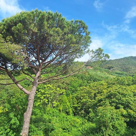 Artemisia Apartman Sestri Levante Kültér fotó