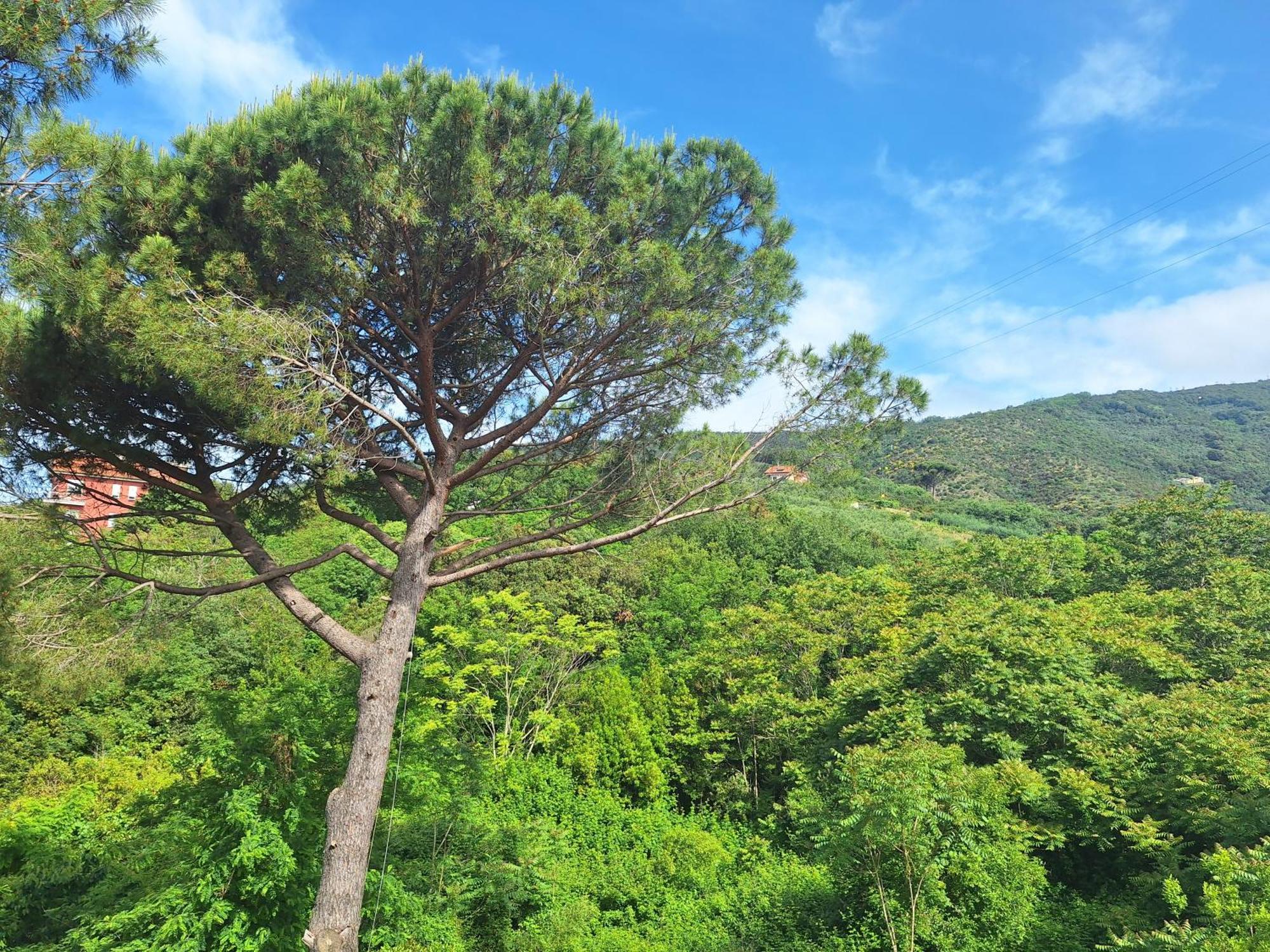 Artemisia Apartman Sestri Levante Kültér fotó